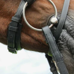 Vespucci Classic Dressage Bridle