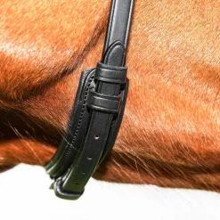 Vespucci Classic Dressage Bridle