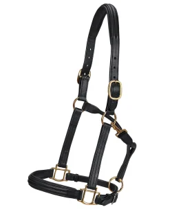 Vespucci Double Raised Halter