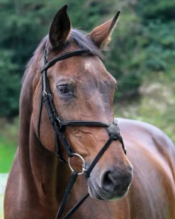 Vespucci Square Raised Figure-8 Bridle