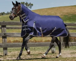 WeatherBeeta® ComFiTec™ Essential Combo Neck Medium-Weight Turnout Blanket