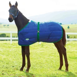 WeatherBeeta® Growing Foal 420D Standard Neck Medium-Weight Blanket