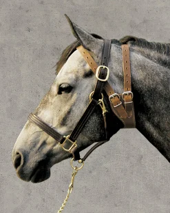 Weaver Leather® Miracle Collar®