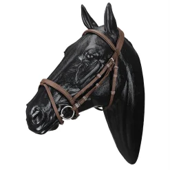Wintec Bridle with Flash