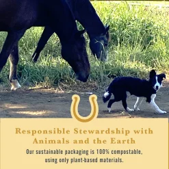 Withers & Withers Sugar-Free Cinnamon Nutra-Treats for Horses